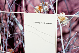 ☼ ADELE DIPASQUALE ☽