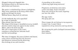 ☼ ADELE DIPASQUALE ☽