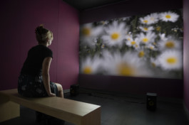 ☼ ADELE DIPASQUALE ☽