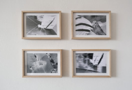 ☼ ADELE DIPASQUALE ☽
	