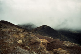 ☼ ADELE DIPASQUALE ☽