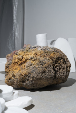 ☼ ADELE DIPASQUALE ☽