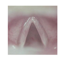 ☼ ADELE DIPASQUALE ☽
	