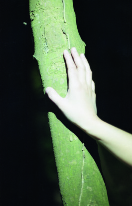 ☼ ADELE DIPASQUALE ☽
	