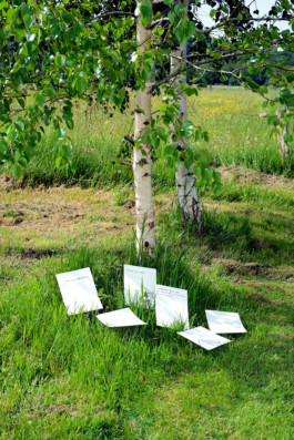 ☼ ADELE DIPASQUALE ☽
	