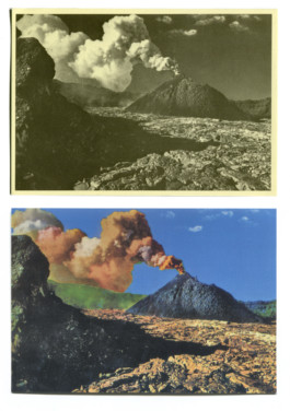 ☼ ADELE DIPASQUALE ☽
	