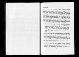 ☼ ADELE DIPASQUALE ☽