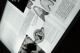 ☼ ADELE DIPASQUALE ☽
	