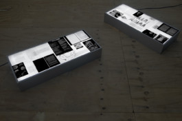 ☼ ADELE DIPASQUALE ☽
	